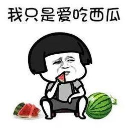 搞笑吃瓜娱乐